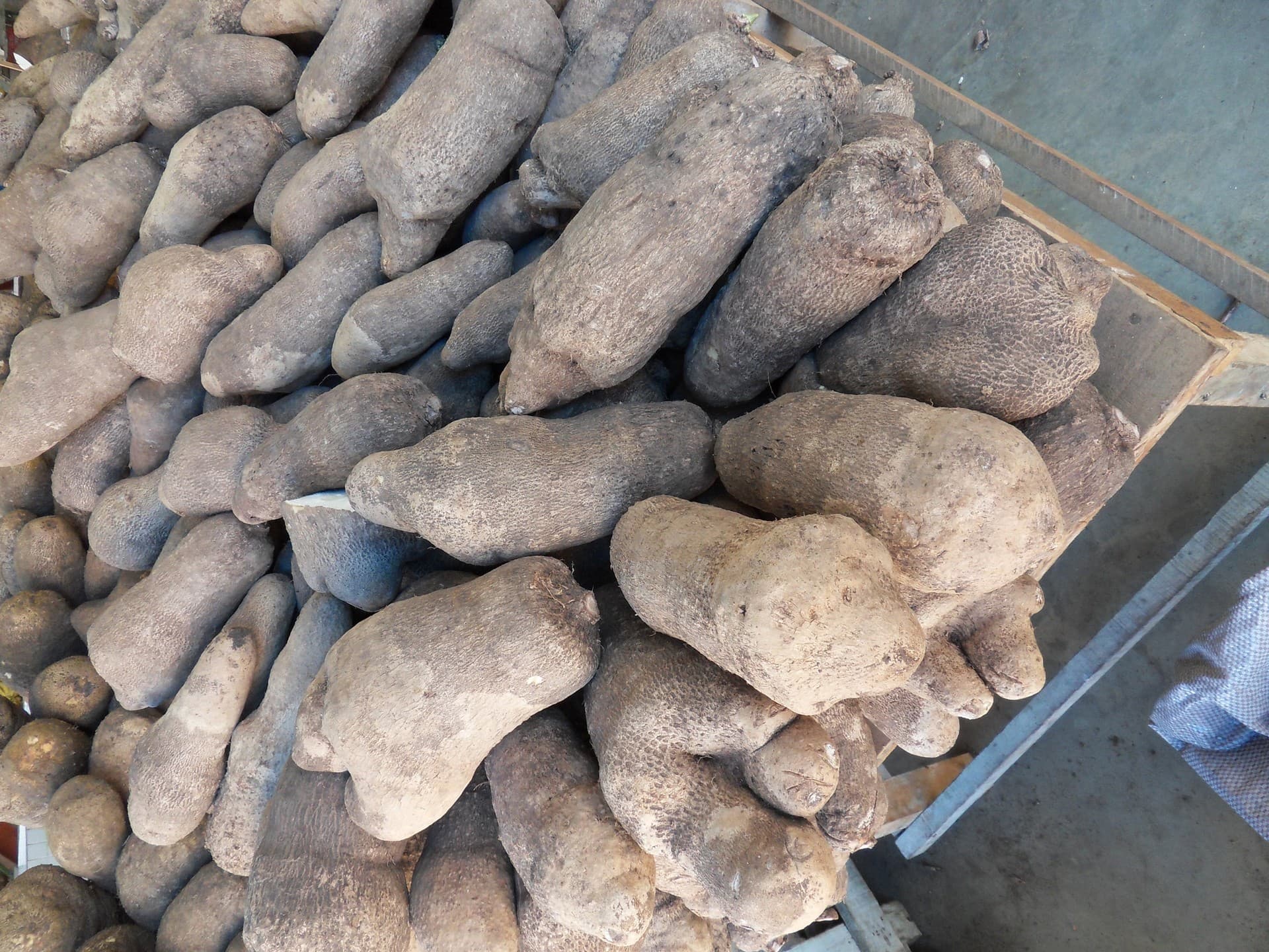 Presidente Figueiredo