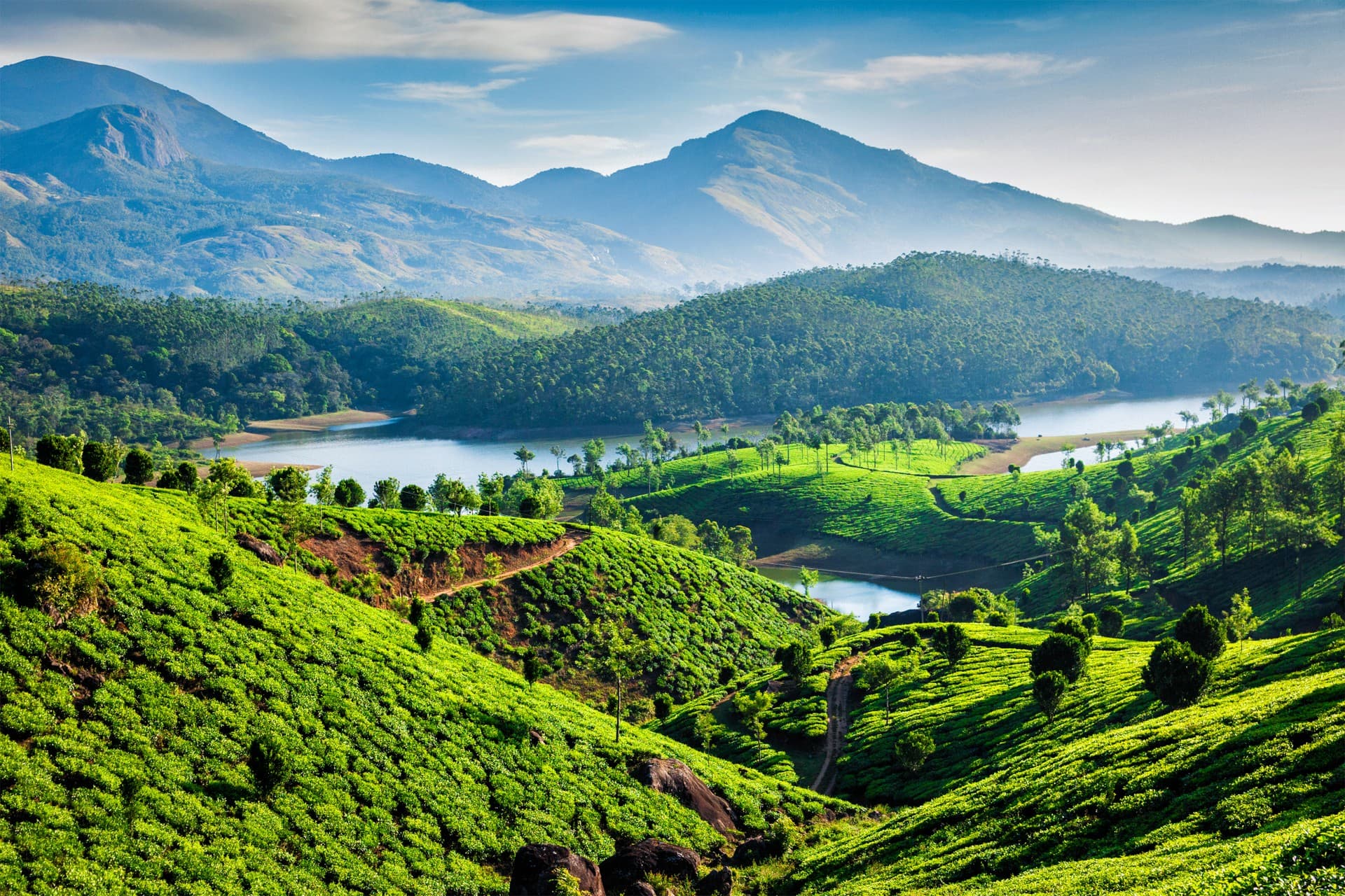 The scenic landscapes of the Western Ghats