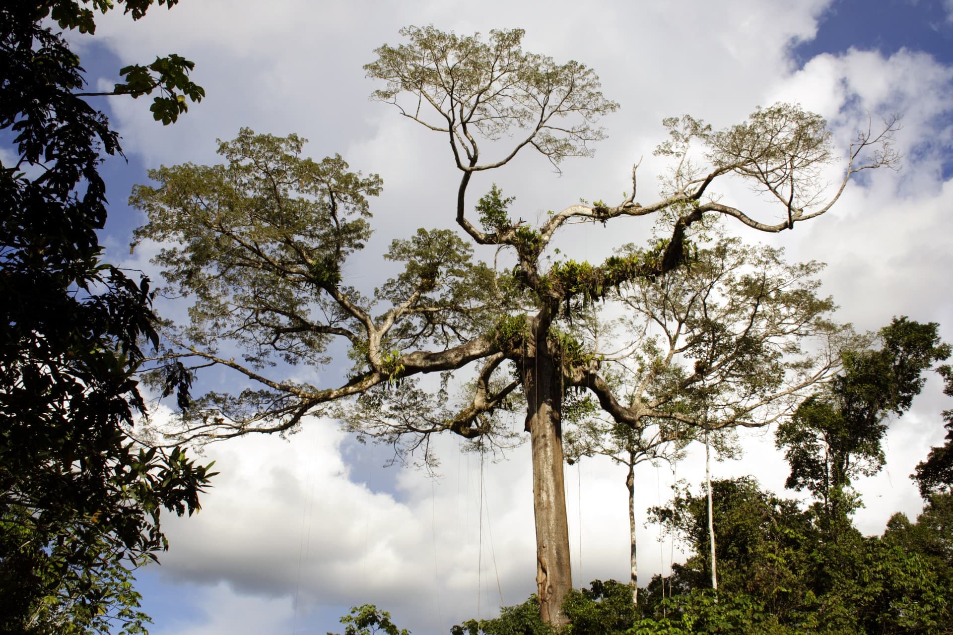 Presidente Figueiredo