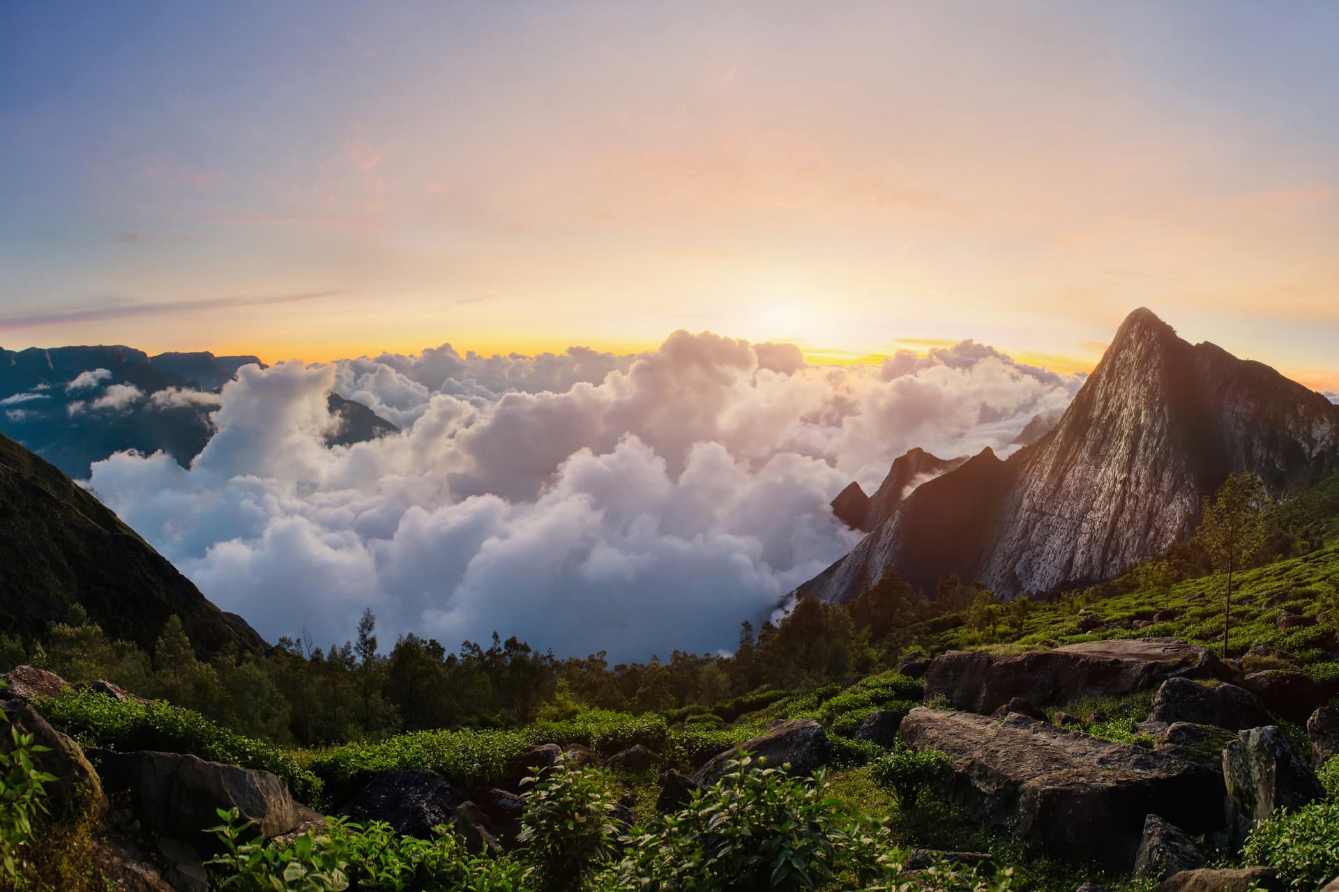 Immersive India eco-tour