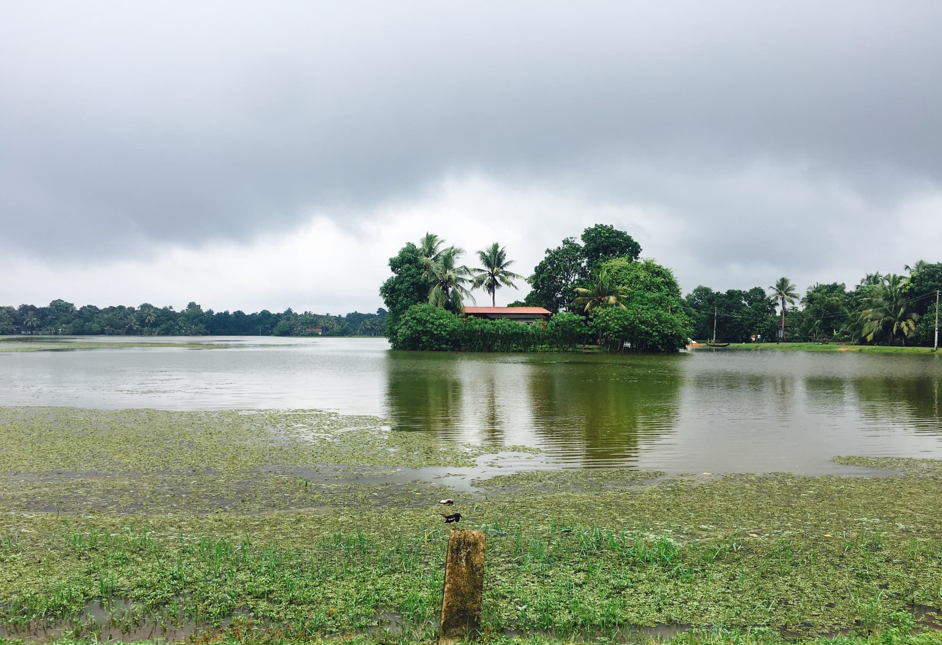 A trip to Kerala's backwaters