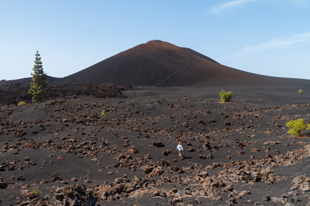 Hiking across the Chinyero Natural Reserve