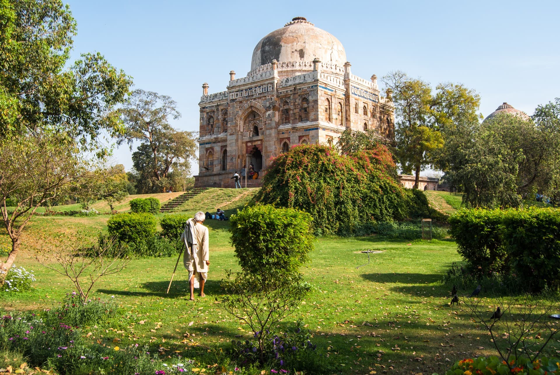 Try your hand at foraging in Delhi