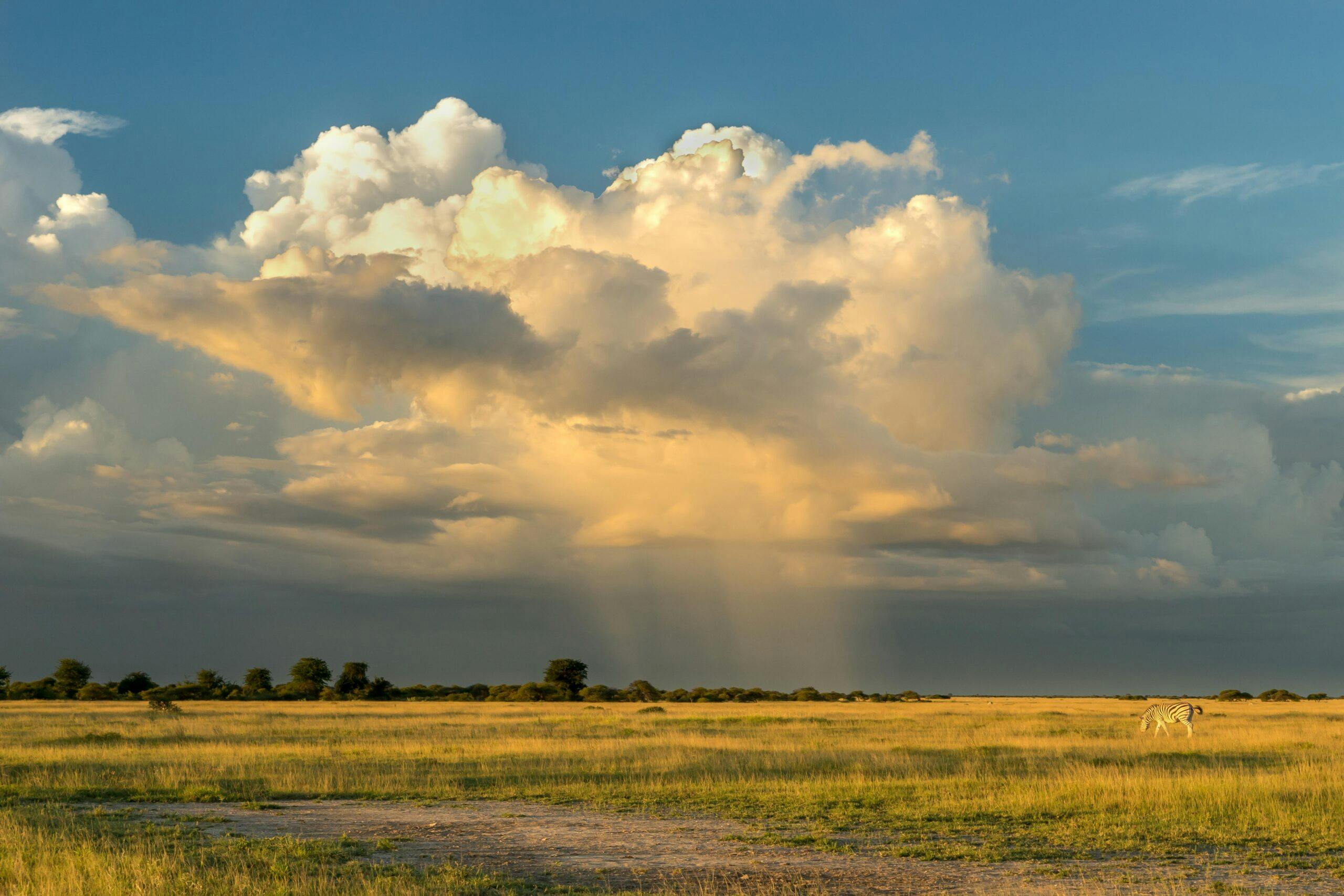 We're reimagining a fairer way to visit Botswana
