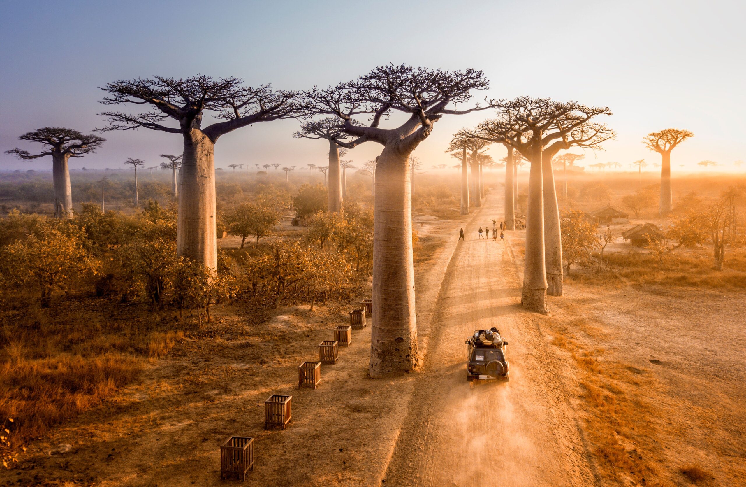 Sunset on Baobab Avenue, Madagascar