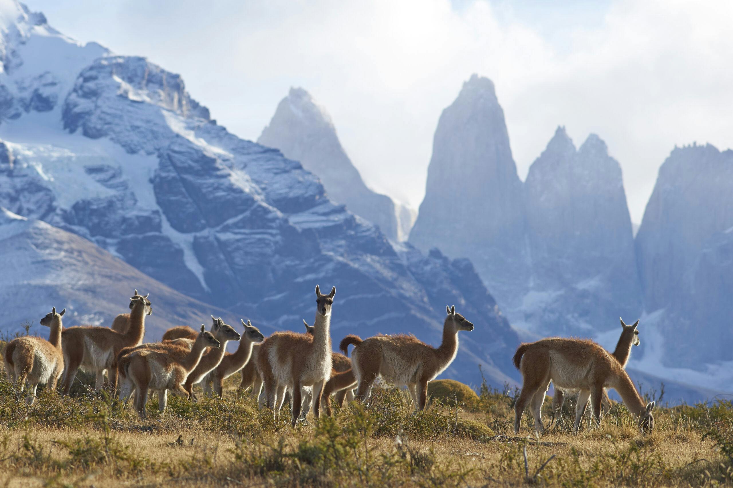 We're reimagining a fairer way to visit South America