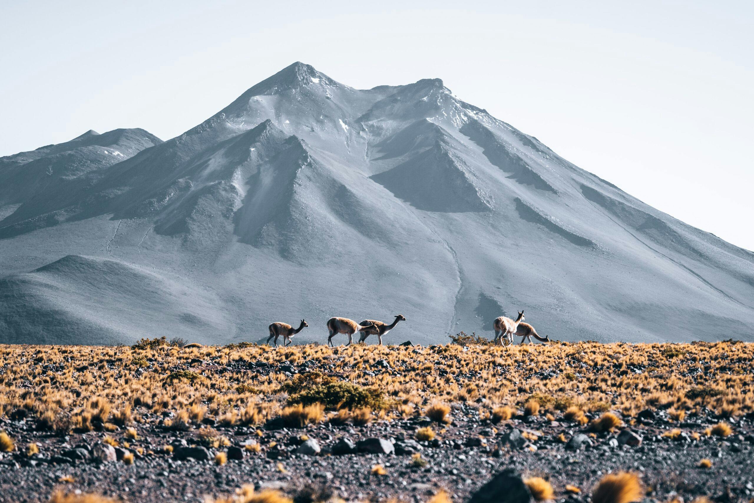 Wir definieren faireres Reisen nach Chile